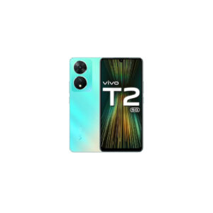 T2