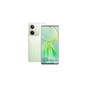 Y300